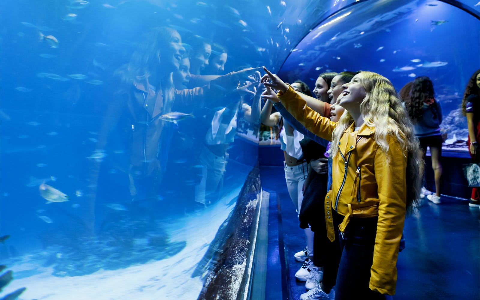 People inside a tunnel with a glass archway looking at fish