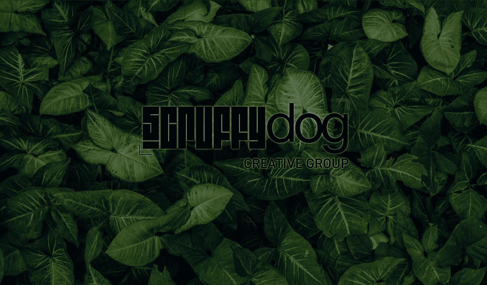 An image of the Scruffy Dog Creative Group logo with leafy background