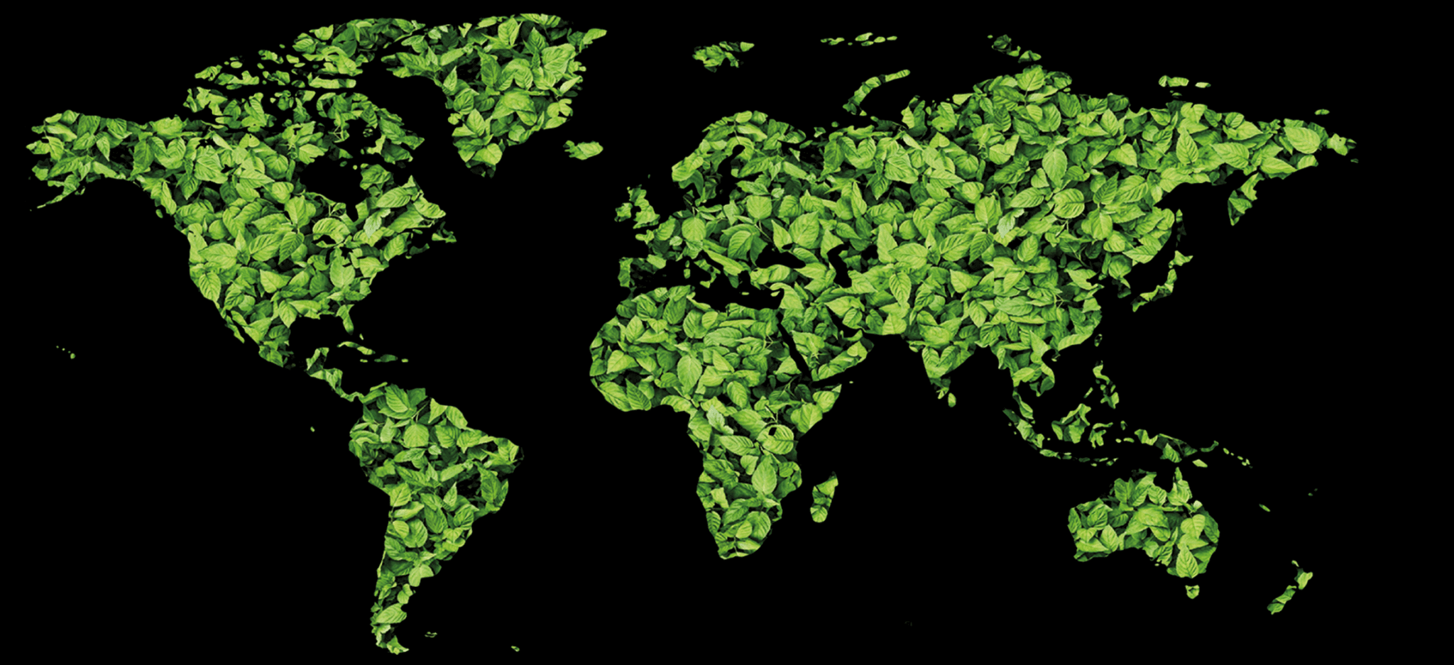 A world map made out of leaves on a black background
