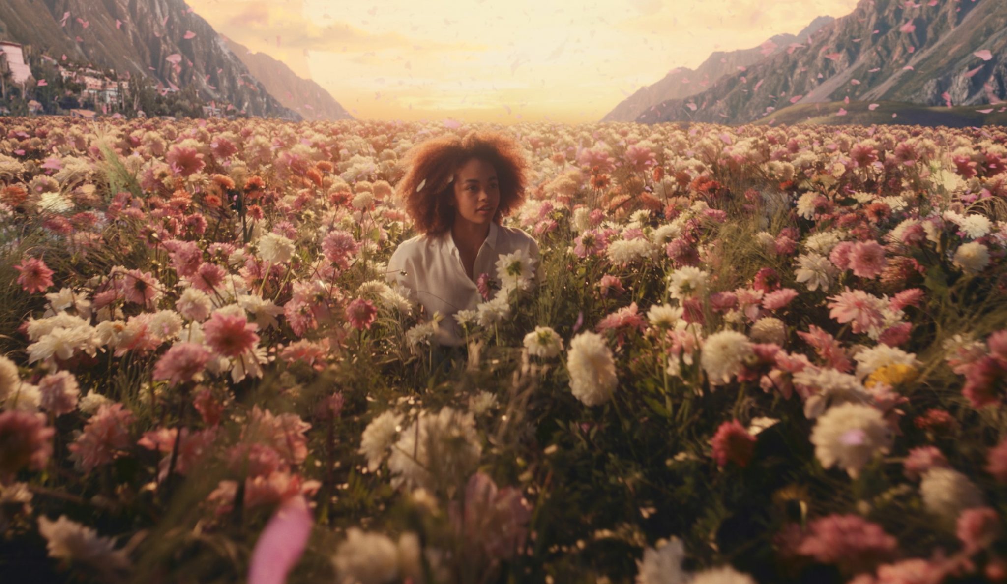 A person sitting in a field of pink and white flowers